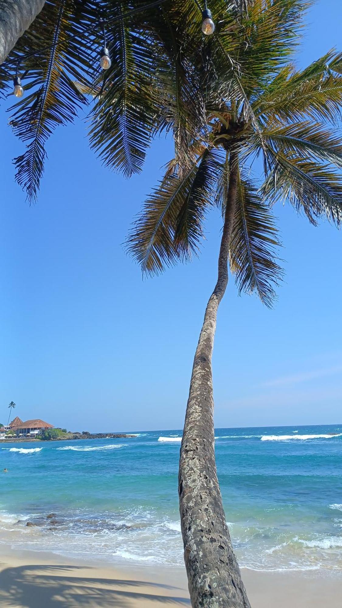 Batigama Turtle Beach House מראה חיצוני תמונה